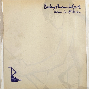 Down In Albion - Babyshambles - LP - Brand New Vinyl (Arrives in 20days)