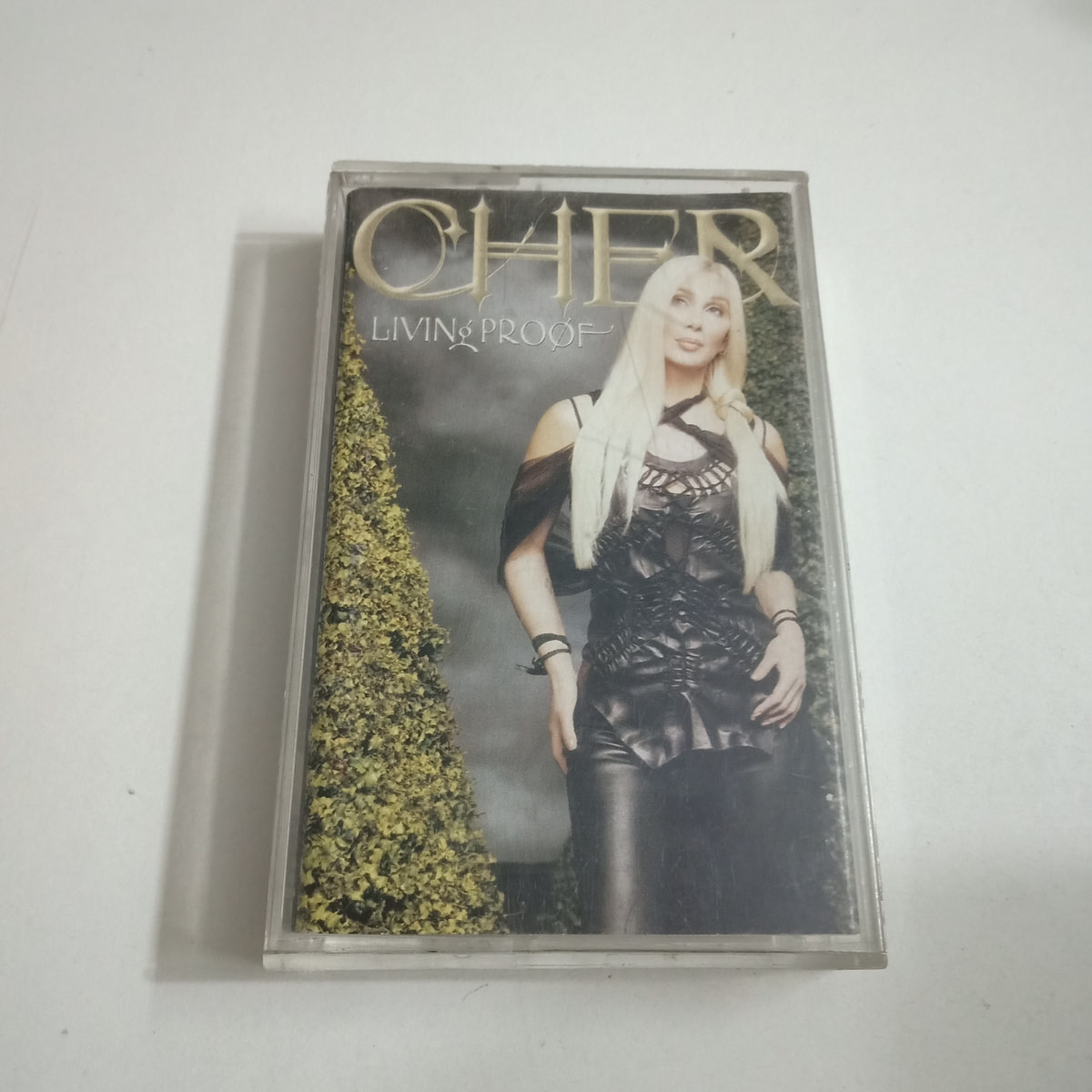 Living Proof - Cher Used Audio Cassette