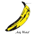 The Velvet Underground & Nico - The Velvet Underground... - LP - Brand New Vinyl (Arrives in 20days)
