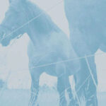 Claus Richter - Swallow You EP Vinyl LP Record (Arrives in 21 days)