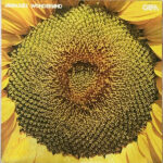 The Great American Music Band - Aranjuez Wonderland Vinyl LP Record (Arrives in 21 days)