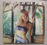 Various - Latin Carnival Vinyl LP Record (Arrives in 21 days)