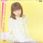 Hiroko Taniyama - 水の中のライオン Vinyl LP Record (Arrives in 21 days)