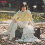 Hideki Saijo - 遥かなる恋人へ Vinyl LP Record (Arrives in 21 days)