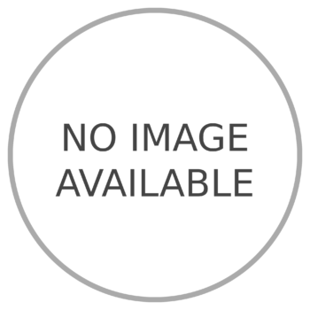 Violator (3) - We Are / Sexual Chocolate Vinyl LP Record (Arrives in 21 days)