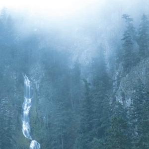 Diadem Of 12 Stars - Wolves In The Throne Room - LP - Brand New Vinyl (Arrives in 20days)