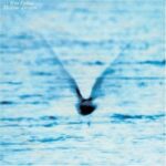 Mellow Dream - Ryo Fukui - LP - Brand New Vinyl (Arrives in 20days)